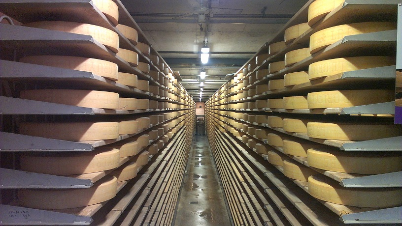 Cheese on shelves